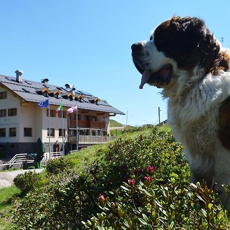 Rifugio Capanna Passo Valles Falcade Zewnętrze zdjęcie