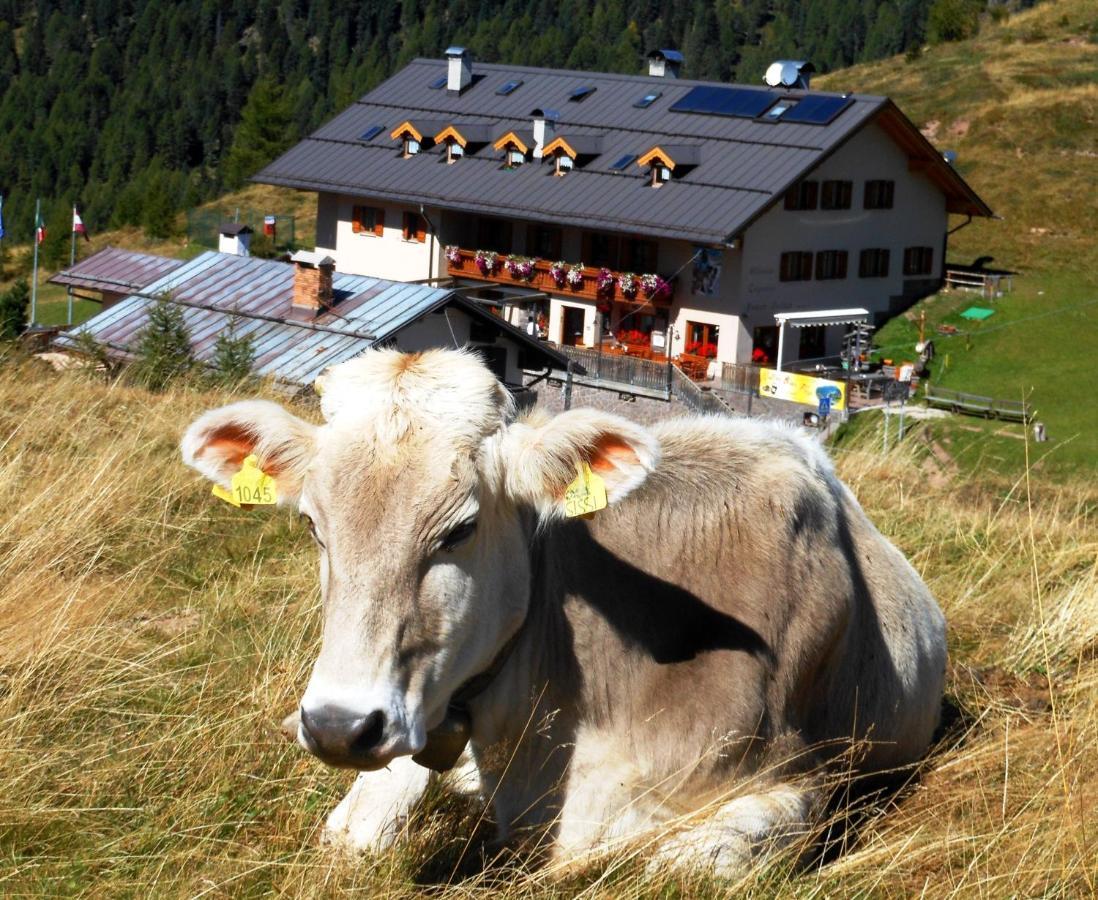 Rifugio Capanna Passo Valles Falcade Zewnętrze zdjęcie